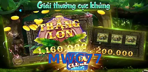 MWC77